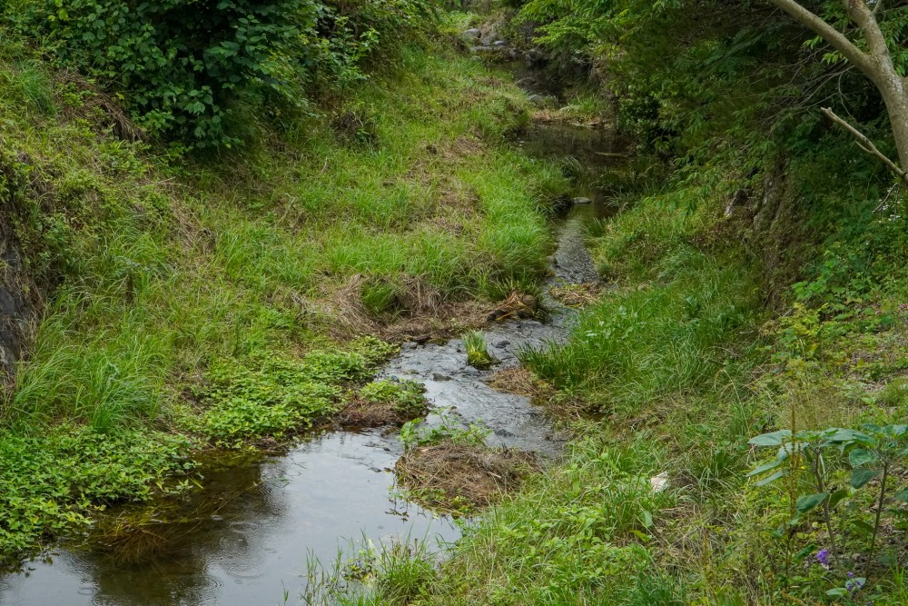 b39ffc52ea94fe948d61b3a595d9bfa9_1723568888_1339.jpg