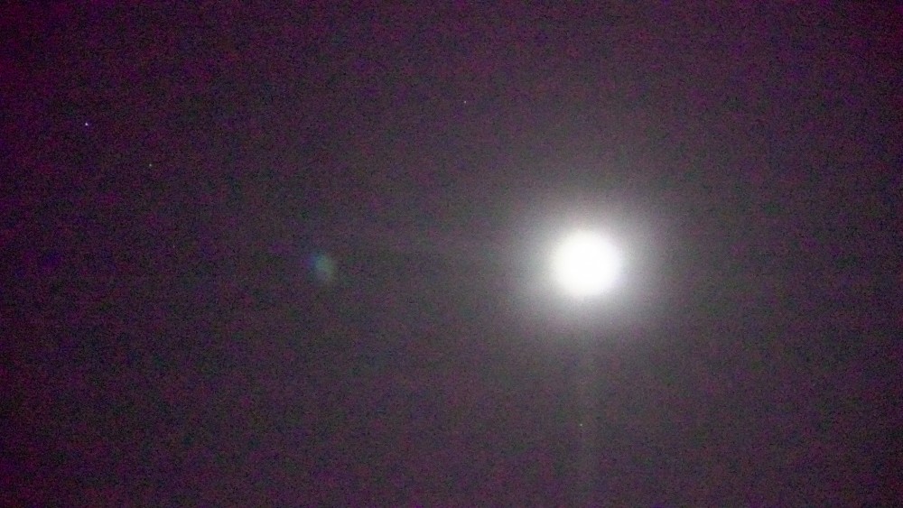 bd92027a6ca21e422fca9ac877f7836e_1724677061_9952.jpg